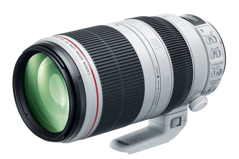 Canon EF 100-400mm f/4.5-5.6L IS II USM